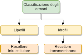 Classificazione chimica degli ormoni